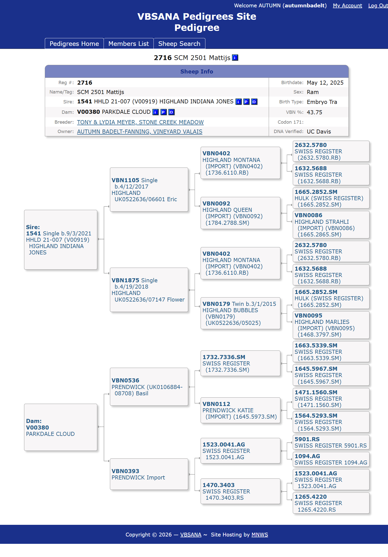 SCM Mattijs Pedigree