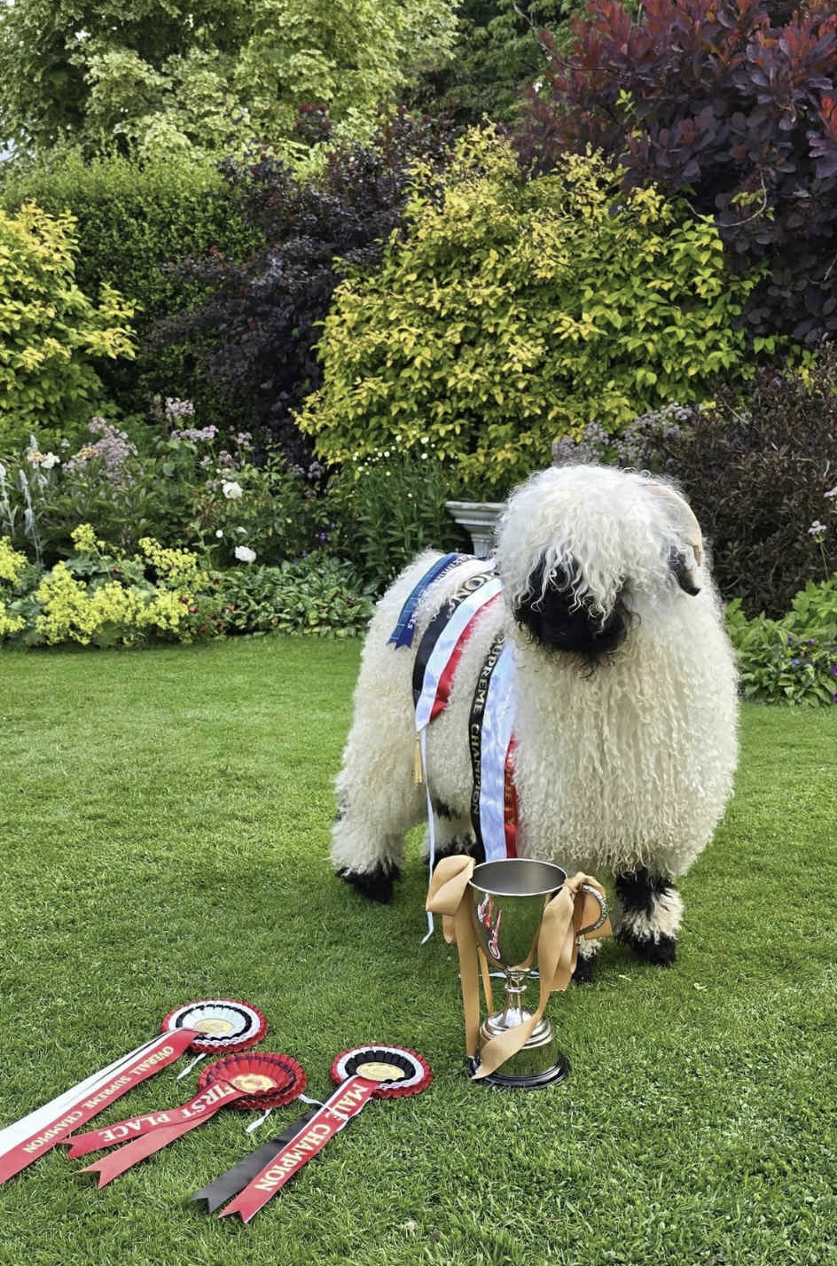 Prendwick Land Rover